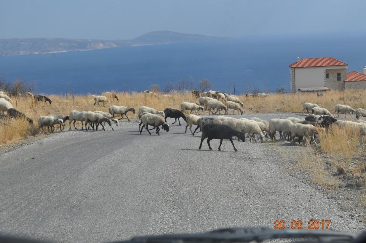 Island Villa Agia Galini Екстериор снимка