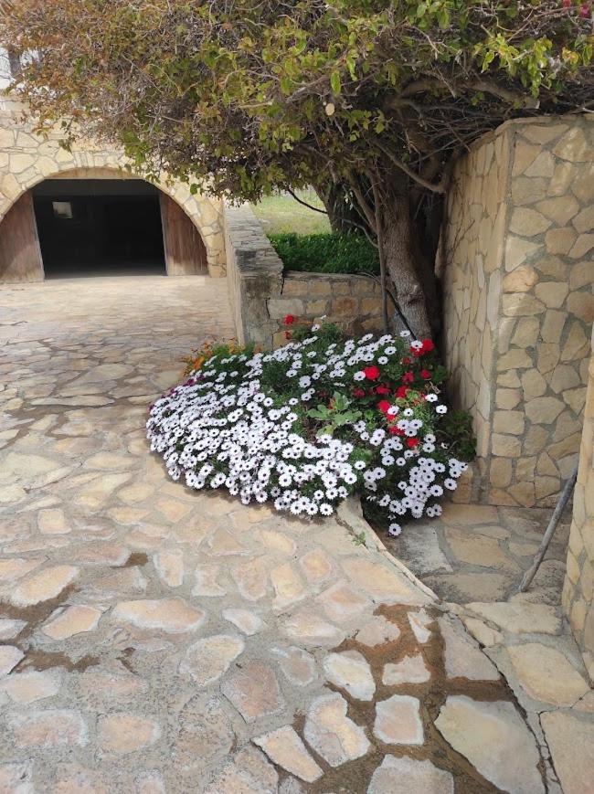 Island Villa Agia Galini Екстериор снимка