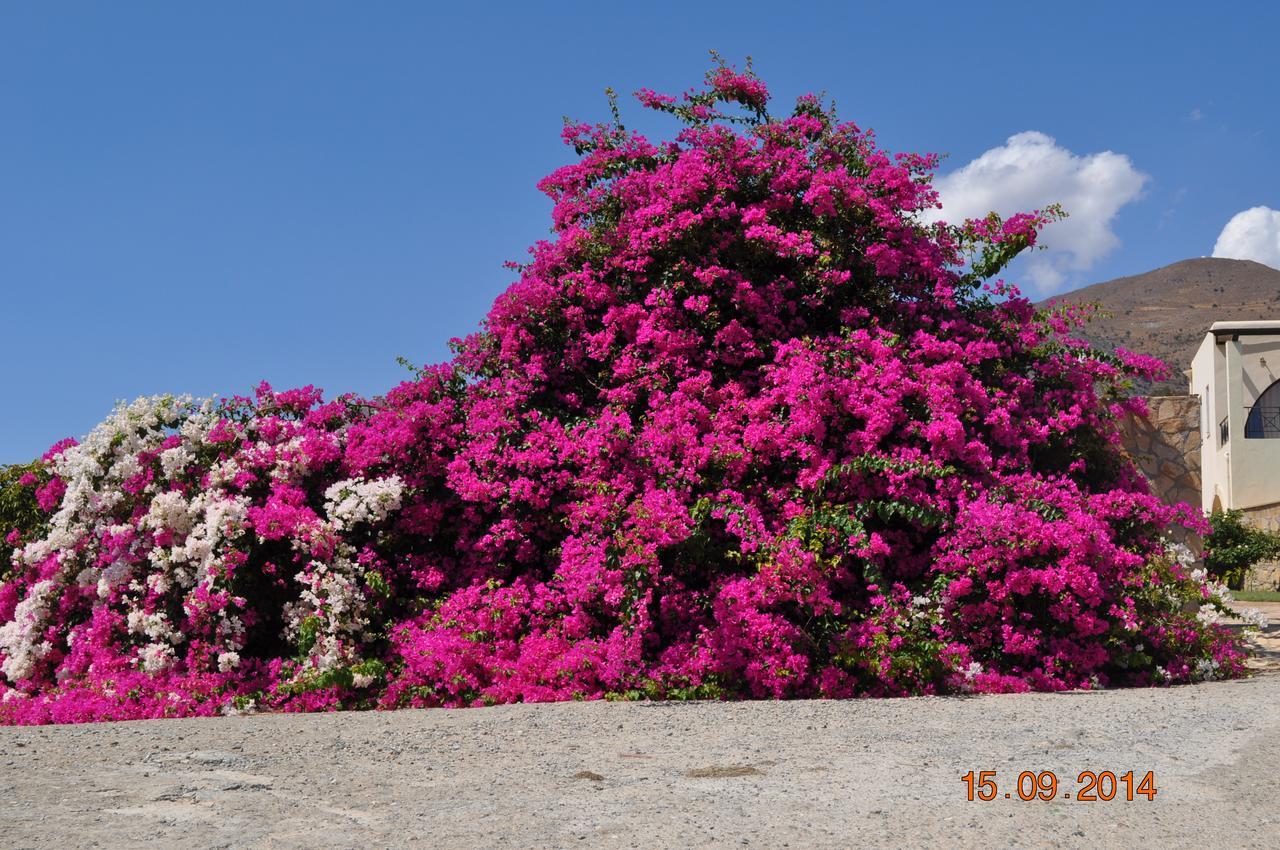 Island Villa Agia Galini Екстериор снимка